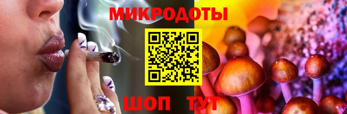 Галлюциногенные грибы MAGIC MUSHROOMS  Галлюциногенные грибы Cubensis  Вход с VPN  где купить наркоту  Нововоронеж 