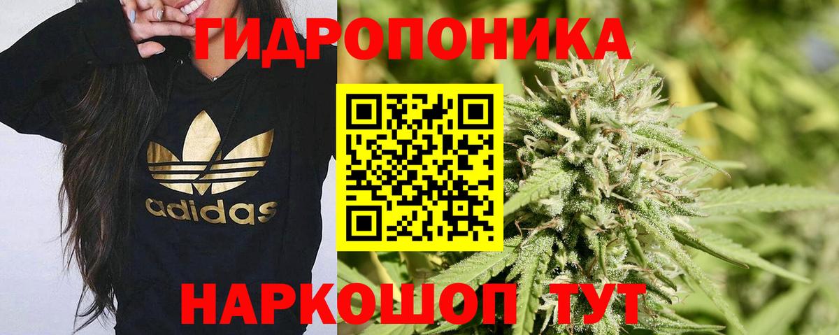 МАРИХУАНА сатива Нововоронеж
